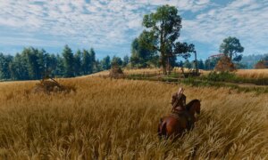 Probieren Sie diese beiden Dinge aus, um die Leistung von Witcher 3 Remastered auf dem PC zu verbessern