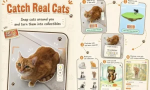 Vergessen Sie Pokémon GO, mit dieser neuen App können Katzenliebhaber stattdessen ihre pelzigen Freunde sammeln